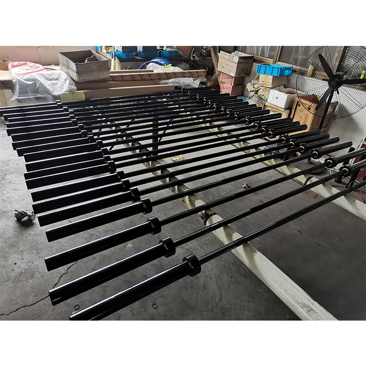 Olympic Barbell 20Kg - Vendita calda Prestazioni ad alto costo