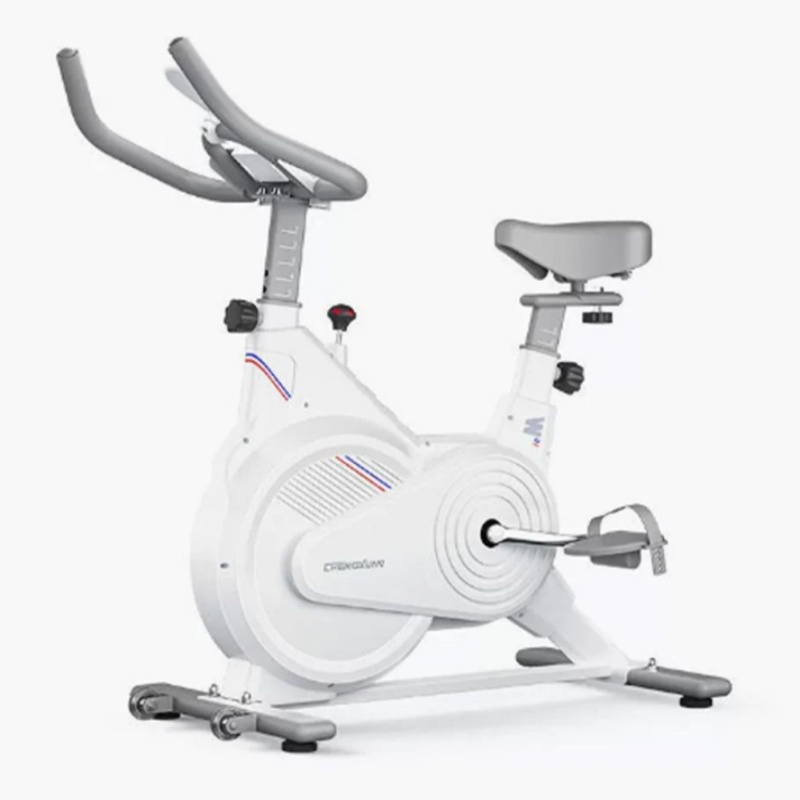 Home Gym Rig - Cyclette da Interno, Bici da Spinning