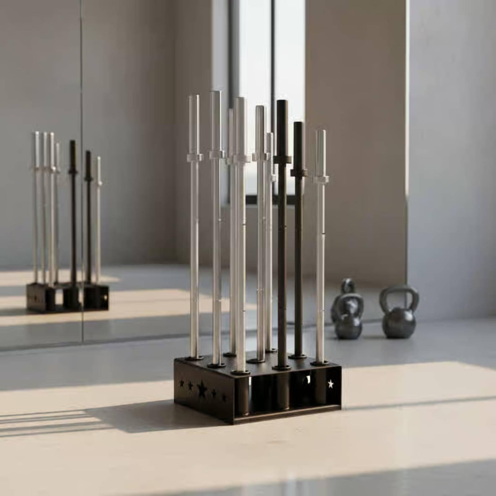 Porta Barre da Sollevamento Pe - Home Gym Organization recensione e prezzo