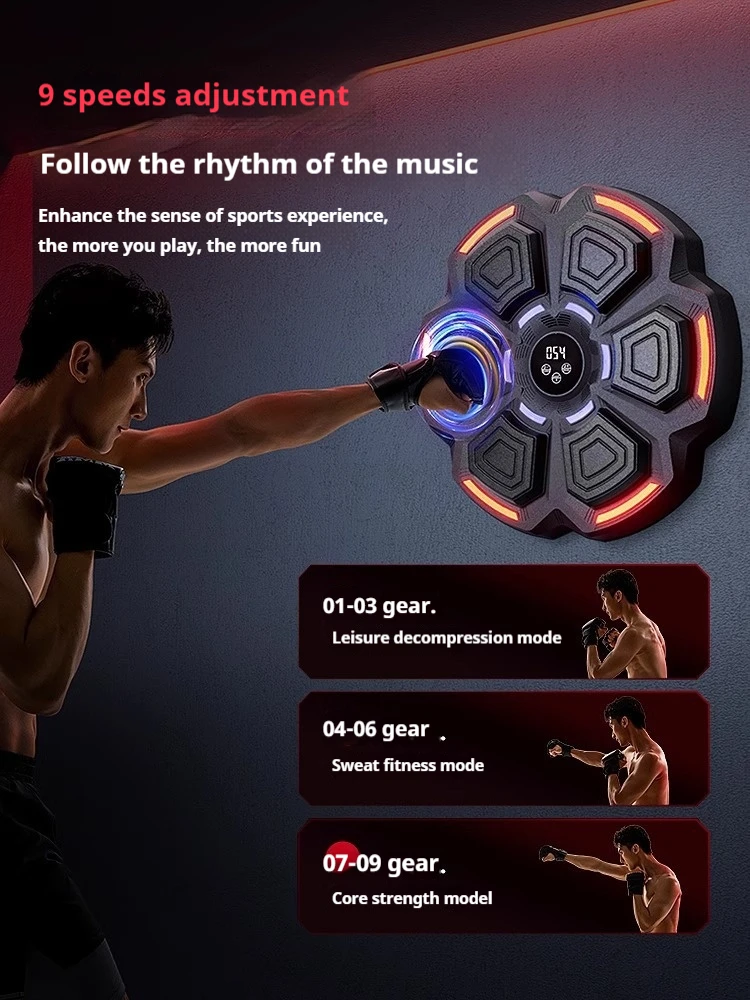 Target da Boxe Intelligente Re - Home Gym Wall Mounted recensione e prezzo