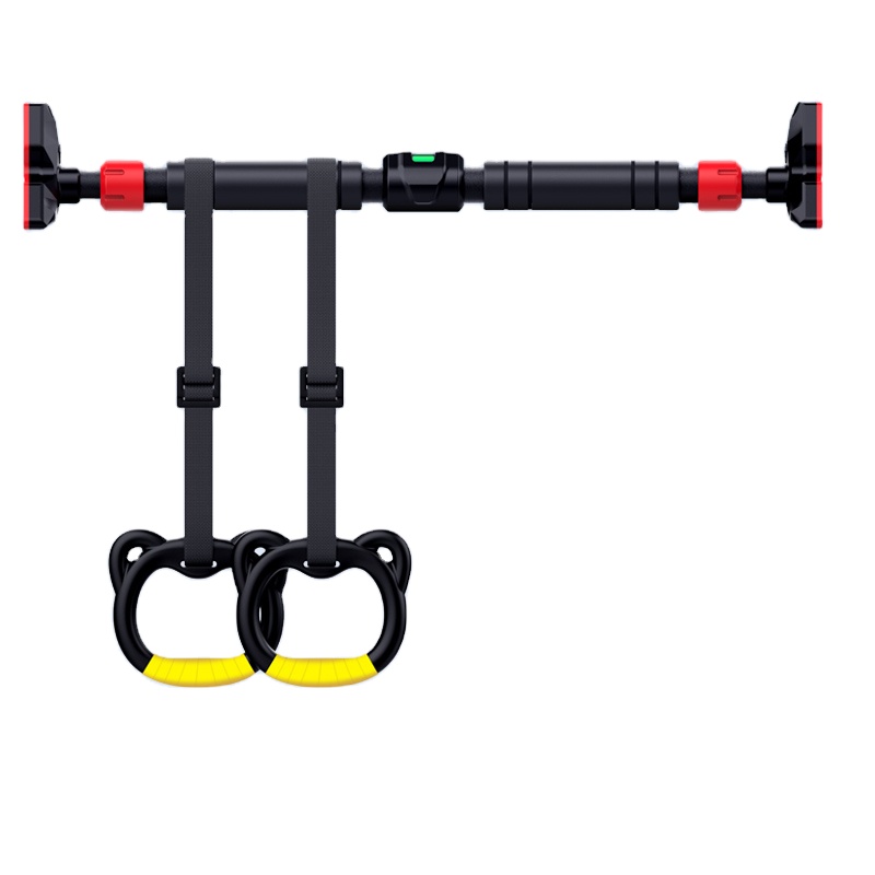 Attrezzatura da Palestra Regol - Home Gym Wall Mounted recensione e prezzo