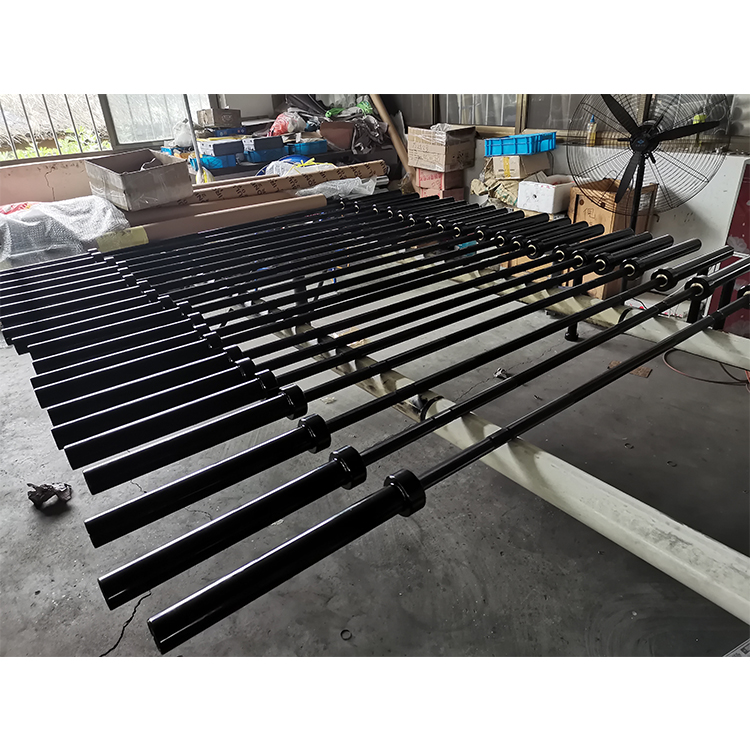 Vendita calda Prestazioni ad a - Olympic Barbell 20Kg recensione e prezzo