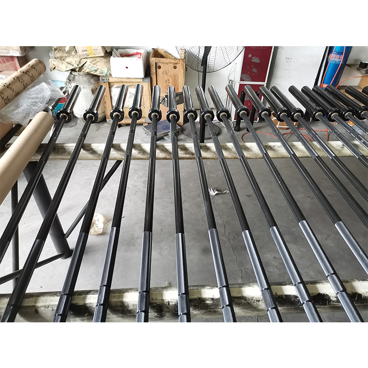 Vendita calda Prestazioni ad a - Olympic Barbell 20Kg recensione e prezzo