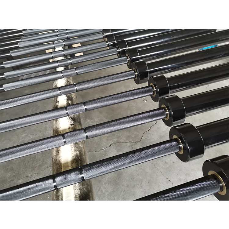 Vendita calda Prestazioni ad a - Olympic Barbell 20Kg recensione e prezzo
