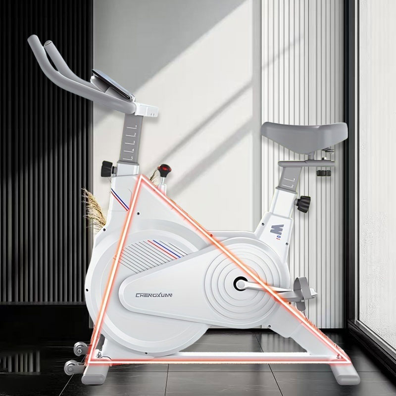 Cyclette da Interno, Bici da S - Home Gym Rig recensione e prezzo