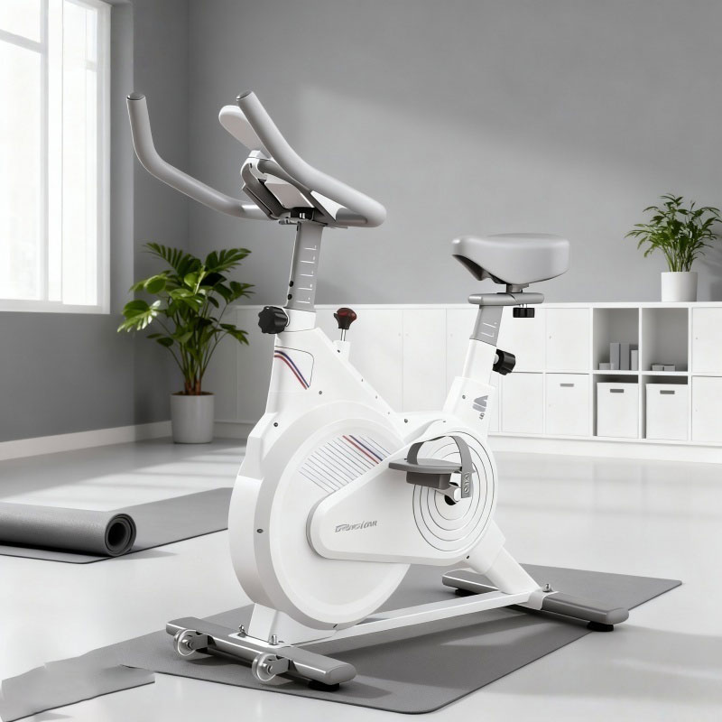 Cyclette da Interno, Bici da S - Home Gym Rig recensione e prezzo