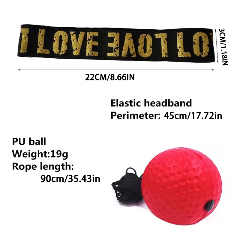 Palla da Boxe per Allenamento  - Home Gym Rig recensione e prezzo